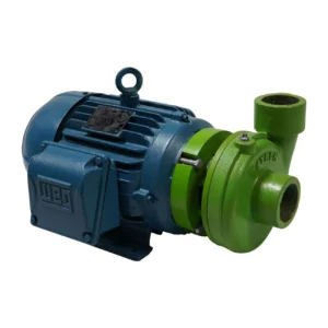 BOMBA DE AGUA ELÉCTRICA TRIFÁSICA RAYKEN 3 HP 2 X 2 PULGADAS – RBWT3